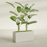 Tolga Rectangular fiberglass planter in Satin Beige, shown planted, in a sunlit interior