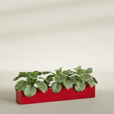 Salon Box fiberglass planter in Gloss Red, shown planted, in a sunlit interior