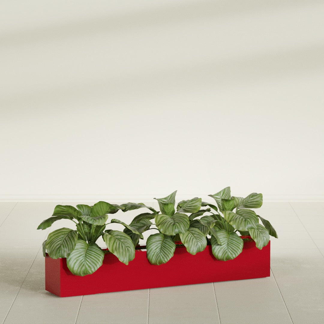 Salon Box fiberglass planter in Gloss Red, shown planted, in a sunlit interior