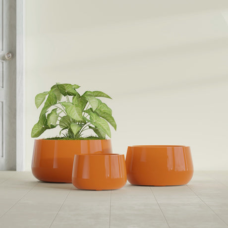 Short Hayden Bowl fiberglass planter in Gloss Tangerine, size range, in a sunlit interior