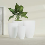 Brannan Tapered Round fiberglass planter in Matte Bright White, size range, in a sunlit interior