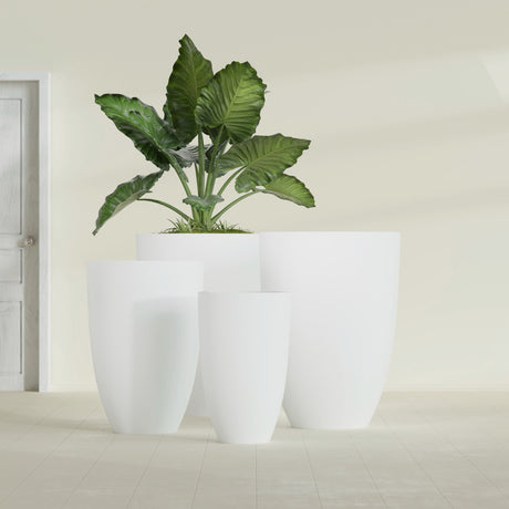 Brannan Tapered Round fiberglass planter in Matte Bright White, size range, in a sunlit interior