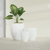 Valencia Tapered Round fiberglass planter in Gloss Bright White, size range, in a sunlit interior