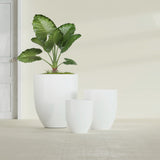 Valencia Tapered Round fiberglass planter in Gloss Bright White, size range, in a sunlit interior