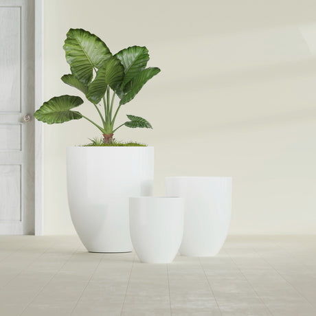 Valencia Tapered Round fiberglass planter in Gloss Bright White, size range, in a sunlit interior