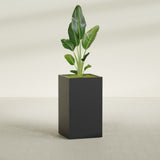 Darwin Corner fiberglass planter in Matte Black, shown planted, in a sunlit interior