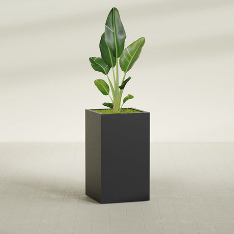 Darwin Corner fiberglass planter in Matte Black, shown planted, in a sunlit interior