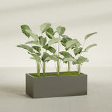 Torino Wide Rectangular fiberglass planter in Matte Bronze, shown planted, in a sunlit interior