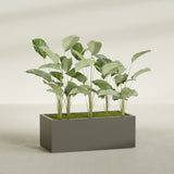 Torino Wide Rectangular fiberglass planter in Matte Bronze, shown planted, in a sunlit interior