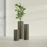 Corry Cylinder fiberglass planter in Matte Bronze, size range, in a sunlit interior