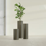 Corry Cylinder fiberglass planter in Matte Bronze, size range, in a sunlit interior