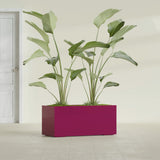 Badalona Rectangular fiberglass planter in Gloss Eggplant, shown planted, in a sunlit interior