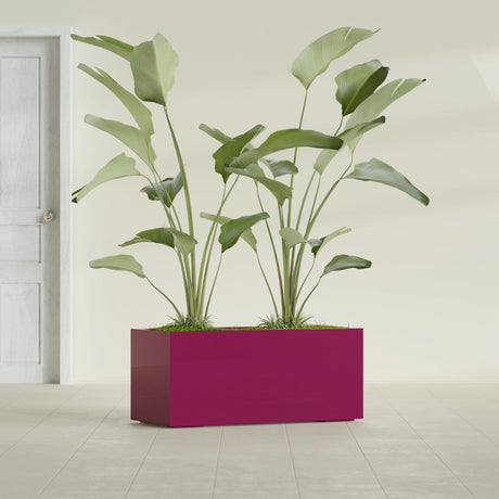 Badalona Rectangular fiberglass planter in Gloss Eggplant, shown planted, in a sunlit interior