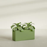 Miami Narrow Rectangular fiberglass planter in Satin Green, shown planted, in a sunlit interior