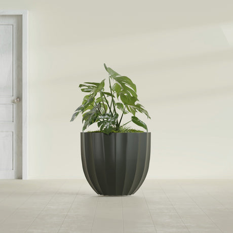 Santa Barbara Fluted Round fiberglass planter in Matte Charcoal, shown planted, in a sunlit interior