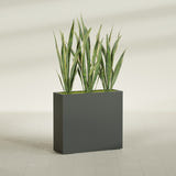 Delray Corner fiberglass planter in Matte Charcoal, shown planted, in a sunlit interior