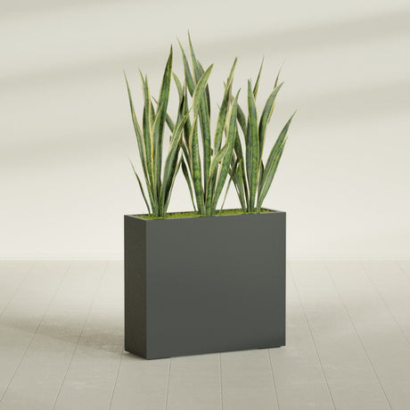 Delray Corner fiberglass planter in Matte Charcoal, shown planted, in a sunlit interior