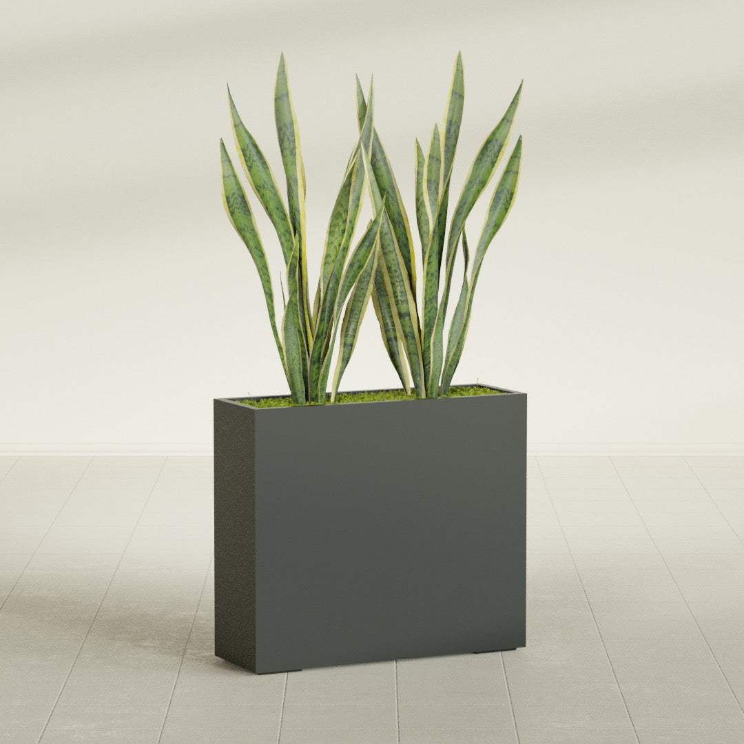 Perth Corner fiberglass planter in Matte Charcoal, shown planted, in a sunlit interior