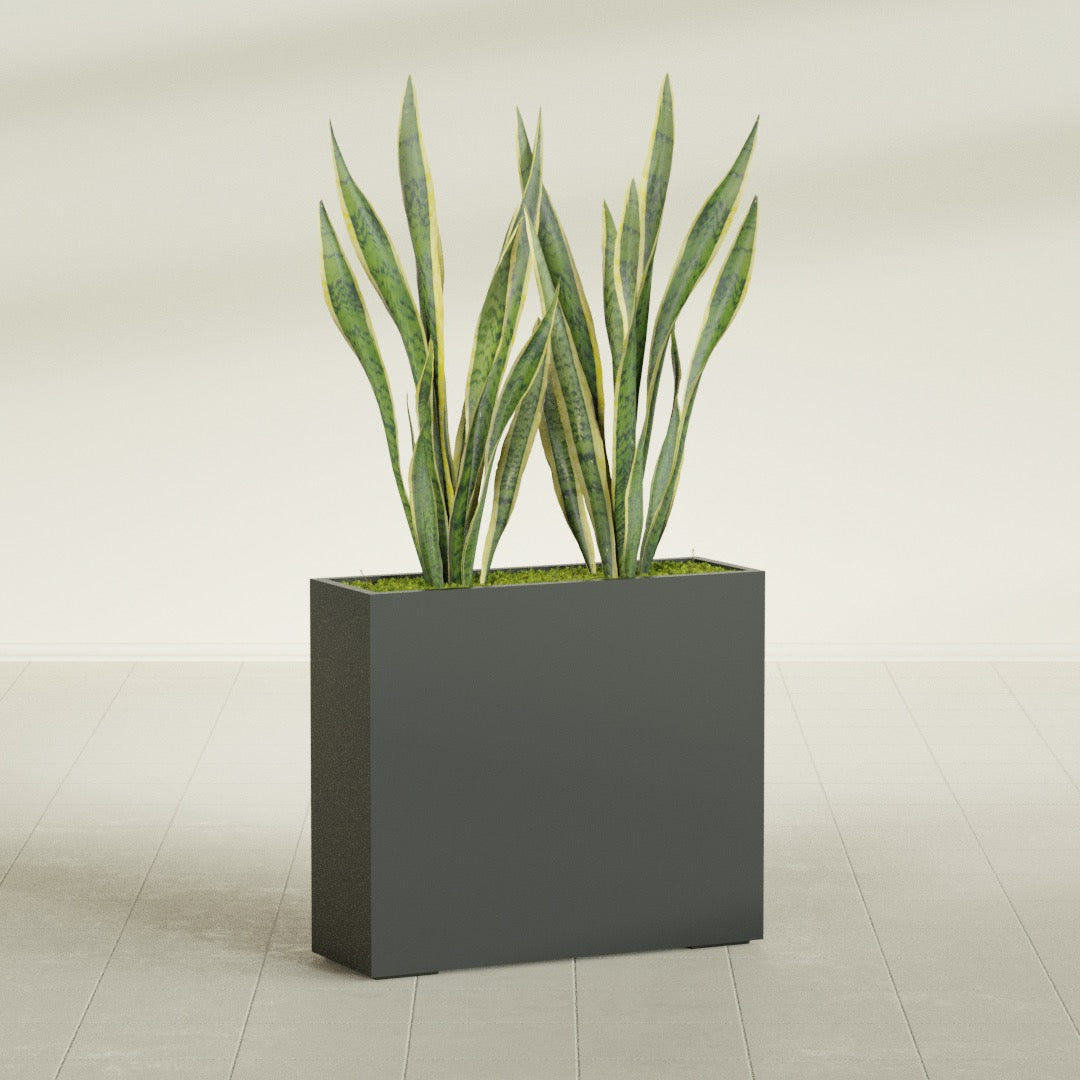 Perth Rectangular fiberglass planter in Matte Charcoal, shown planted, in a sunlit interior