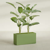 Tolga Rectangular fiberglass planter in Satin Green, shown planted, in a sunlit interior