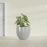 Santa Barbara Fluted Round fiberglass planter in Metallic Silver, shown planted, in a sunlit interior