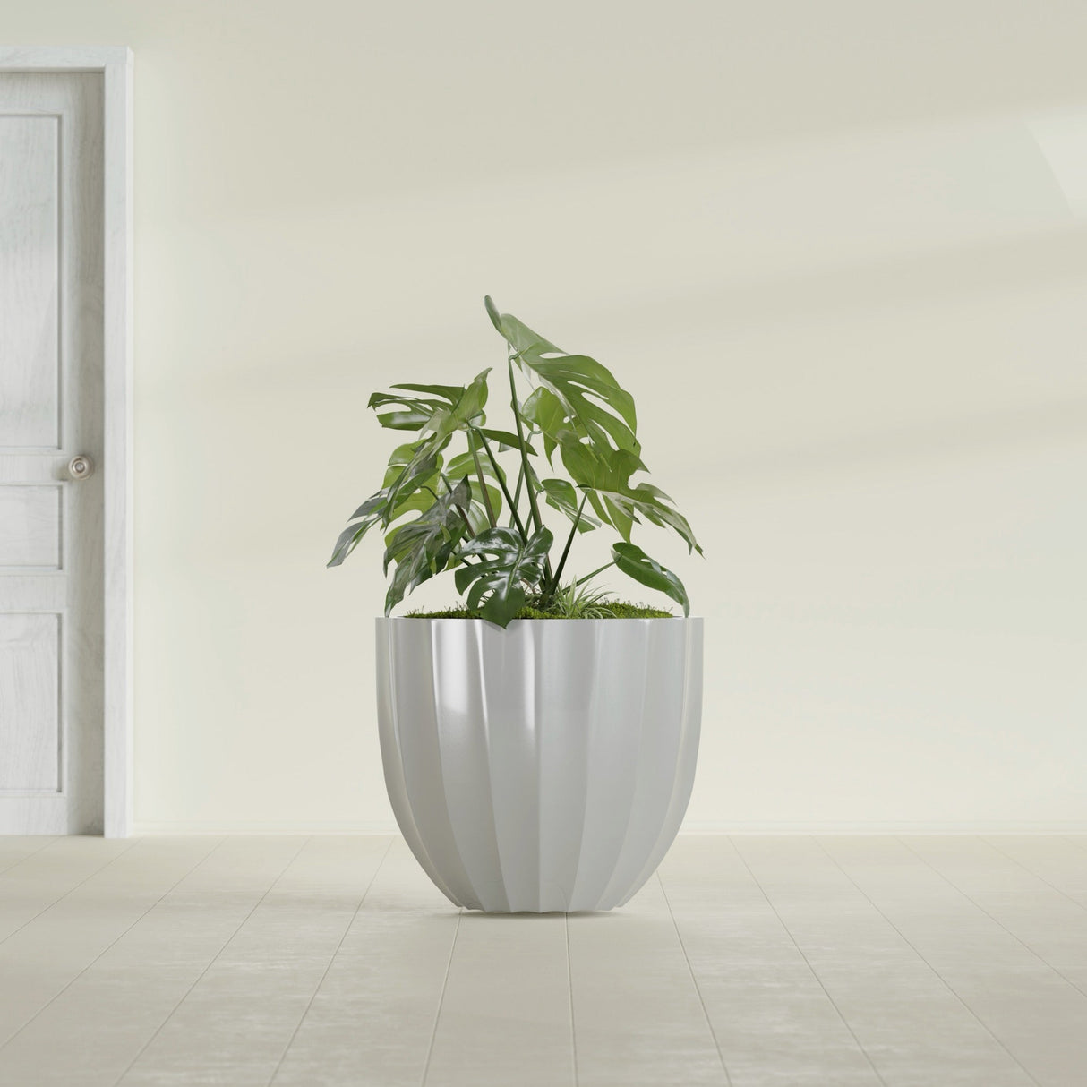 Santa Barbara Fluted Round fiberglass planter in Metallic Silver, shown planted, in a sunlit interior