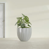 Santa Barbara Fluted Round fiberglass planter in Metallic Silver, shown planted, in a sunlit interior