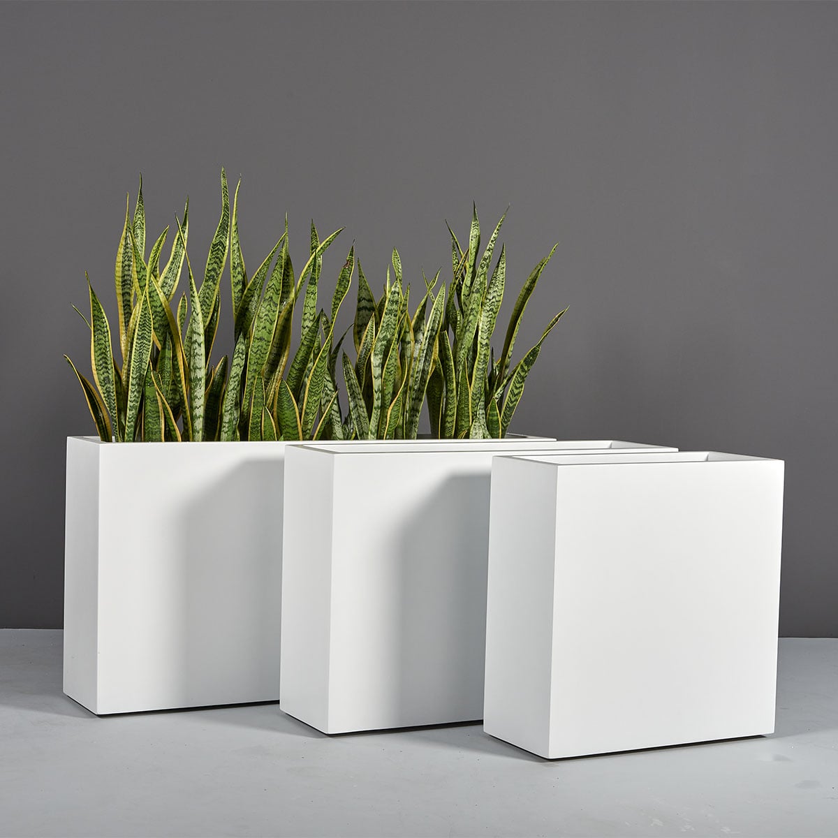 Milano Narrow Rectangular Planter, in real life