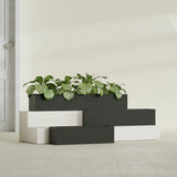 Monaco Rectangle fiberglass planter in Matte Charcoal, shown planted, in a sunlit interior