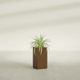 Hollywood Narrow Rectangular fiberglass planter in Metallic Bronze, shown planted, in a sunlit interior