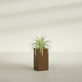 Hollywood Narrow Rectangular fiberglass planter in Metallic Bronze, shown planted, in a sunlit interior