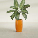 Lisbon Tall Round fiberglass planter in Gloss Tangerine, shown planted, in a sunlit interior