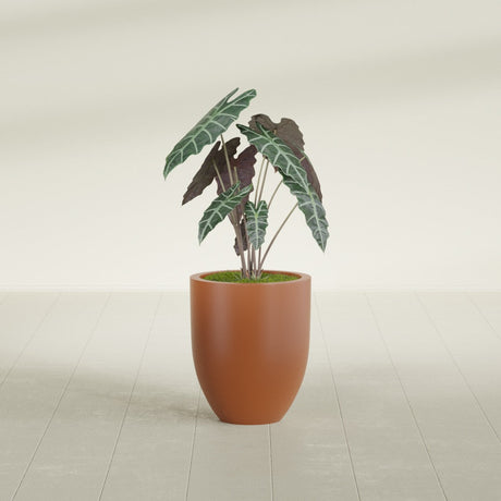 Valencia Tapered Round fiberglass planter in Matte Terra Cotta, shown planted, in a sunlit interior