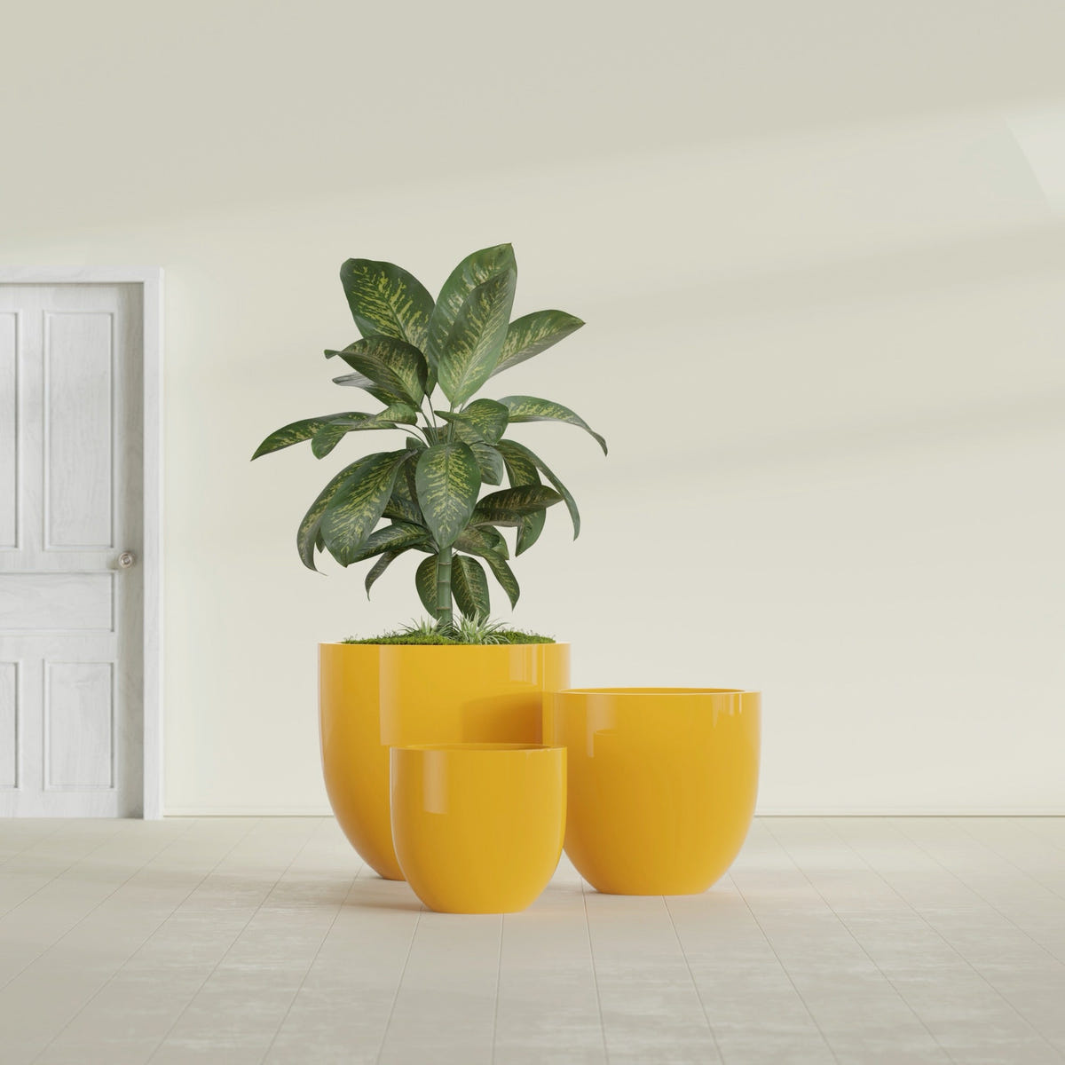 Alzira Bowl fiberglass planter in Gloss Saffron, size range, in a sunlit interior