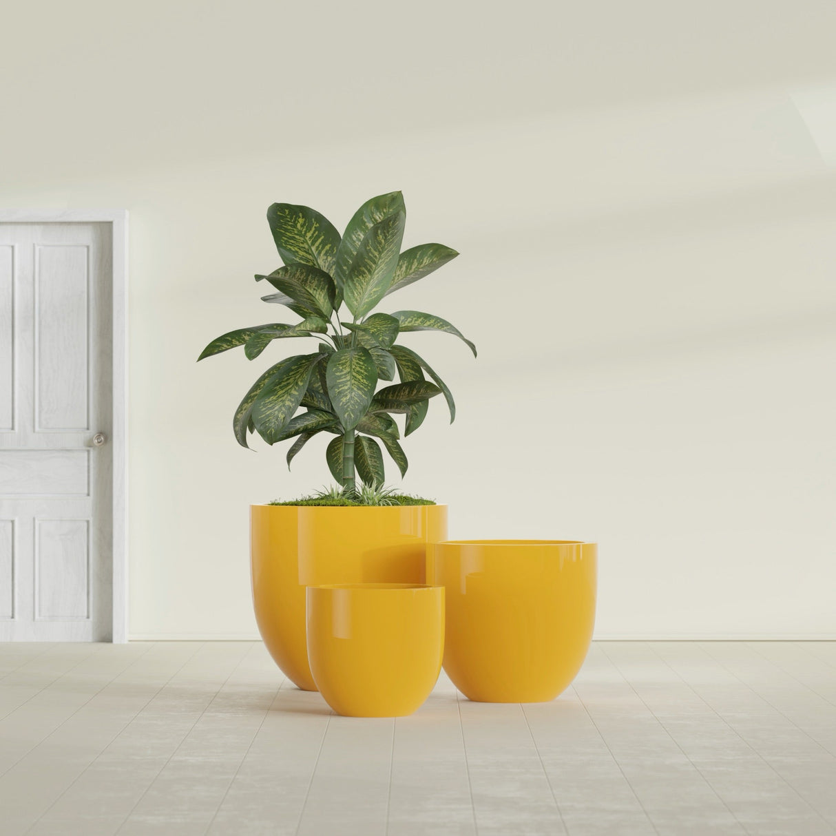 Alzira Bowl fiberglass planter in Gloss Saffron, size range, in a sunlit interior
