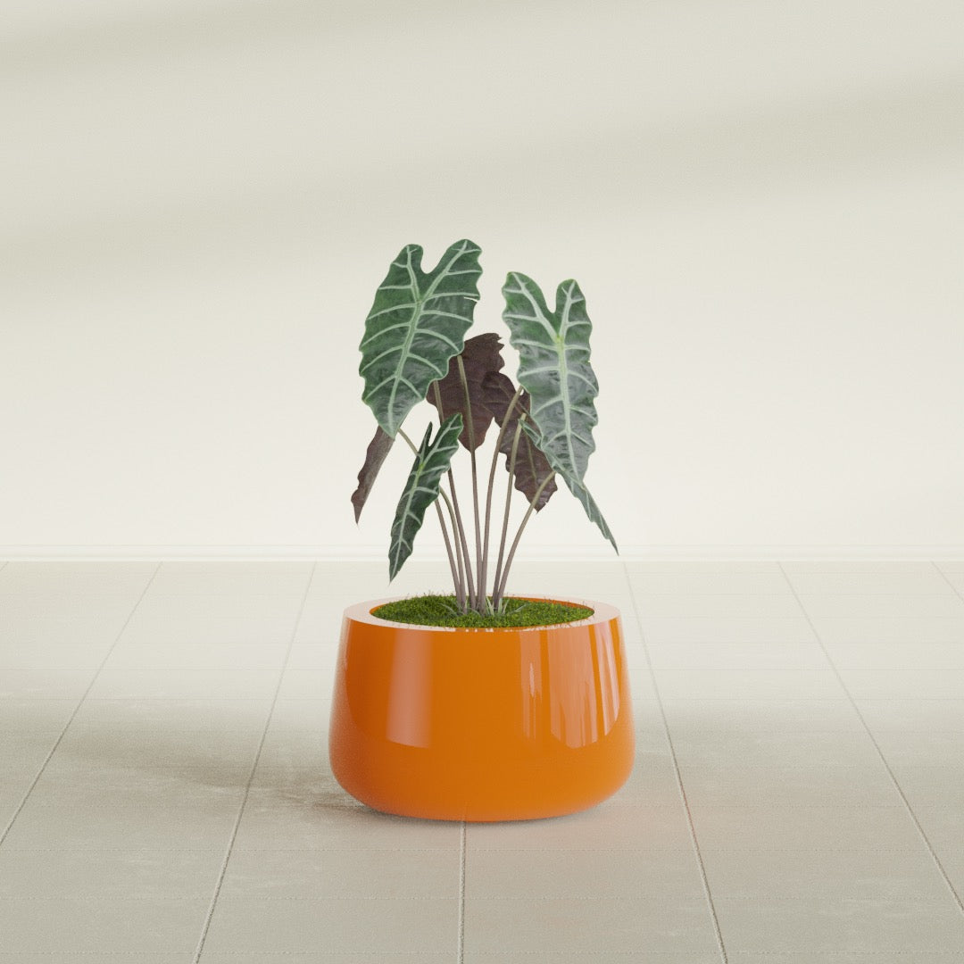 Short Hayden Bowl fiberglass planter in Gloss Tangerine, shown planted, in a sunlit interior
