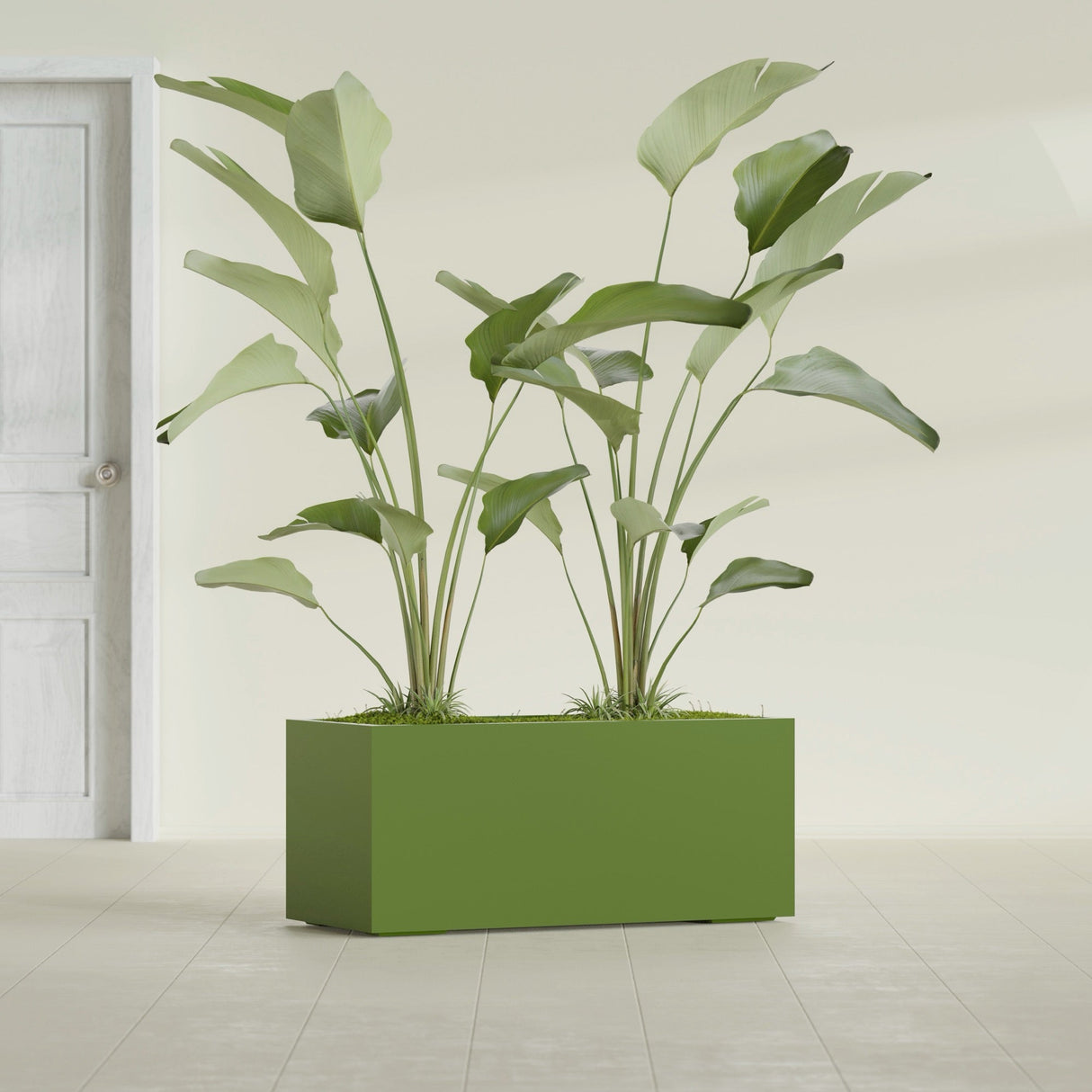 Badalona Rectangular fiberglass planter in Satin Green, shown planted, in a sunlit interior