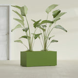 Badalona Rectangular fiberglass planter in Satin Green, shown planted, in a sunlit interior