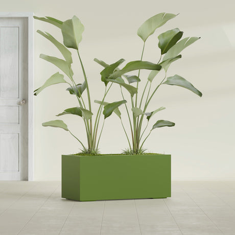 Badalona Rectangular fiberglass planter in Satin Green, shown planted, in a sunlit interior