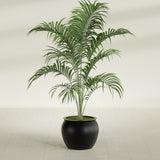 Shanghai Fishbowl fiberglass planter in Matte Black, shown planted, in a sunlit interior