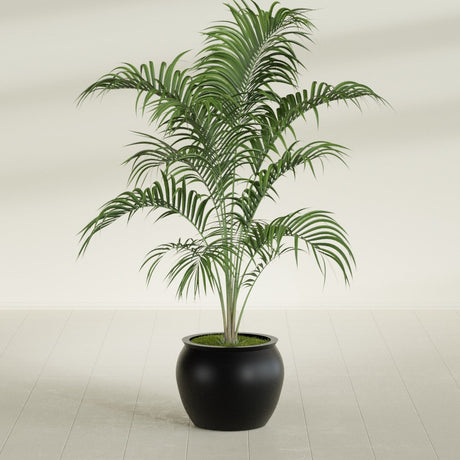 Shanghai Fishbowl fiberglass planter in Matte Black, shown planted, in a sunlit interior