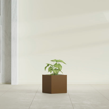 Monaco Cube fiberglass planter in Metallic Bronze, shown planted, in a sunlit interior