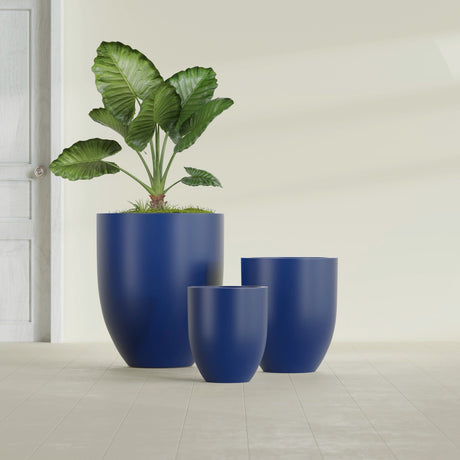 Valencia Tapered Round fiberglass planter in Matte Cobalt Blue, size range, in a sunlit interior