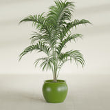 Shanghai Fishbowl fiberglass planter in Satin Green, shown planted, in a sunlit interior