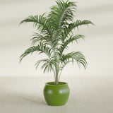 Shanghai Fishbowl fiberglass planter in Satin Green, shown planted, in a sunlit interior