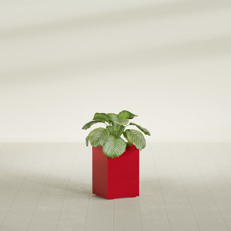 Miami Corner fiberglass planter in Gloss Red, planted, in a sunlit interior