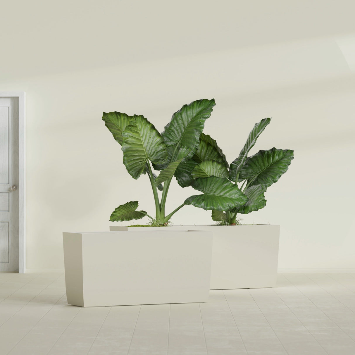 Panama Tapered Rectangular fiberglass planter in Satin Beige, shown planted, in a sunlit interior