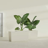Panama Tapered Rectangular fiberglass planter in Satin Beige, shown planted, in a sunlit interior