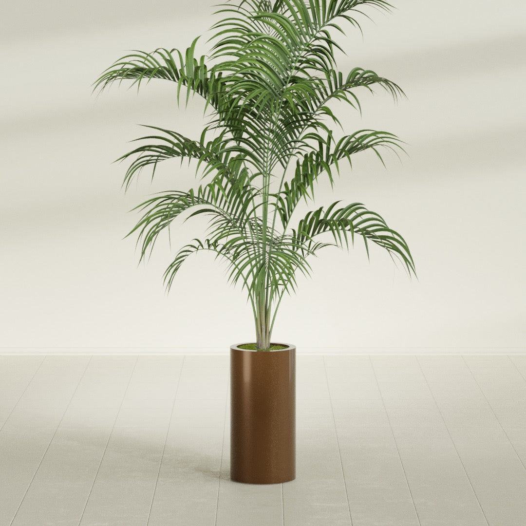 Corry Cylinder fiberglass planter in Metallic Bronze, shown planted, in a sunlit interior