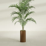 Corry Cylinder fiberglass planter in Metallic Bronze, shown planted, in a sunlit interior